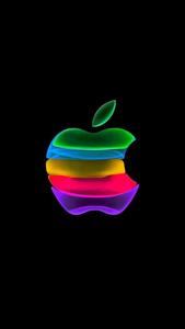 Image  Blossoming Apple Orchard Wallpaper