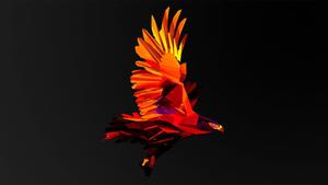 Image Close-up of Orange Eagle Abstract Art 1440p wallpaper