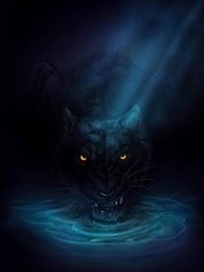 Image Panthers in their Natural Habitat black panther wallpaper