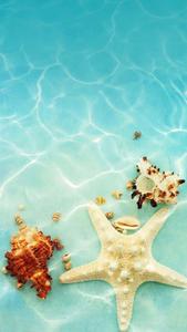 Image 'Soaking in the Summer Sun' summer wallpaper