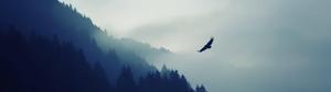 Image View of Majestic Eagle Soaring Over Mountainside. dual monitor wallpaper