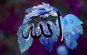 "In Allah We Trust" Wallpaper