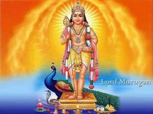 Indian God Murugan god wallpaper