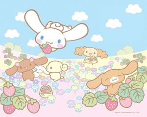 Introducing the new Cinnamoroll Laptop: A perfect choice for young adventurers cinnamoroll laptop wallpaper