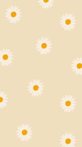 Iphone Aesthetic Background iphone aesthetic wallpaper