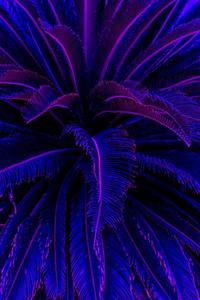Iphone Aesthetic Background iphone aesthetic wallpaper