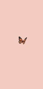 Iphone Aesthetic Butterfly iphone aesthetic wallpaper
