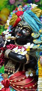ISKCON Krishna With Dark Skin iskcon wallpaper
