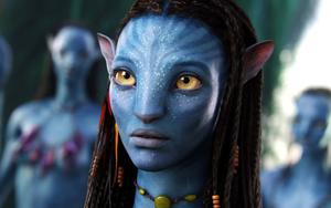 Jack and Neytiri from Avatar avatar wallpaper