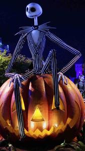 Jack Skellington is here to Celebrate Halloween Town nightmare before christmas wallpaper