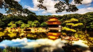 Japanese temple beautifully reflected in the clear pond 1080p wallpaper