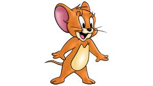 Jerry Mouse Cartoon Illustration jerry mouse wallpaper