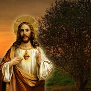 Jesus Christ In The Garden Picture jesus wallpaper