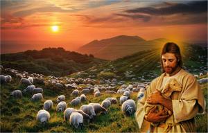 Jesus Christ Tending To A Lamb Picture jesus wallpaper