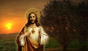 Jesus in the Garden of Gethsemane jesus wallpaper
