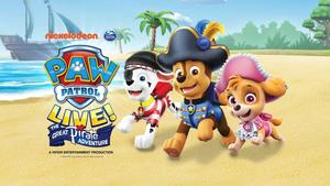 Join Chase, Marshall and their friends in the amazing world of Paw Patrol! paw patrol wallpaper