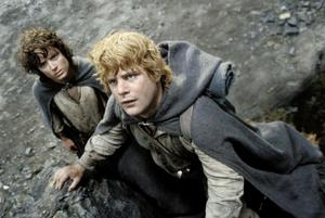 Join Frodo and his Fellowship on their journey to destroy the One Ring! lord of the rings wallpaper