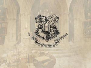Join Hogwarts and Unlock Your Magical Powers hogwarts wallpaper