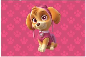 Join the Adventure with the PAW Patrol! paw patrol wallpaper