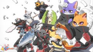 Join the Akatsuki and unleash your cat's deadly power  Wallpaper