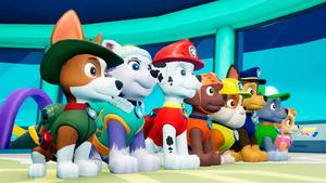 Join the Paw Patrol! paw patrol wallpaper