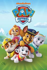 Join the Paw Patrol to save the day! paw patrol wallpaper