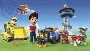 Join the Pups of PAW Patrol on their Adventures! paw patrol wallpaper
