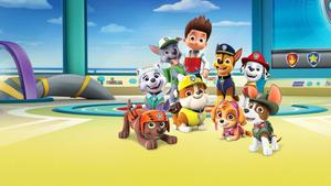 Join the Pups of PAW Patrol On Their Next Adventure! paw patrol wallpaper