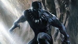 Join the Wakanda revolution with Black Panther black panther wallpaper