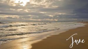 Joy of June june wallpaper