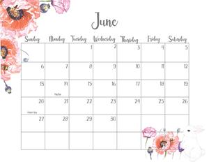 June Agenda june wallpaper