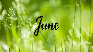 June Background june wallpaper