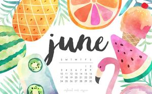 June Calendar with a Summer Tropical Theme june wallpaper