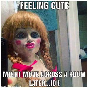 Just Look at That Face! funny wallpaper