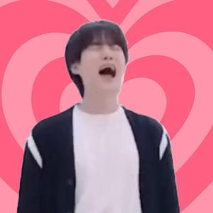 K-Pop Idol Meme PFP meme pfp wallpaper