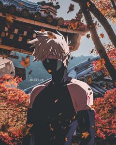 Kakashi Surrounded With Autumn Leaves Picture Wallpaper