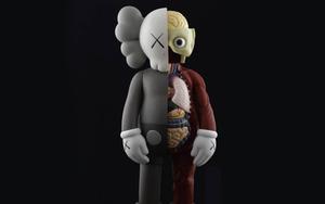 Kaws Flayed Vinyl Figure kaws wallpaper