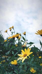 Keep connected with the latest Aesthetic Iphone Wallpaper