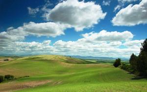 Keep It Fresh with Windows XP windows xp wallpaper