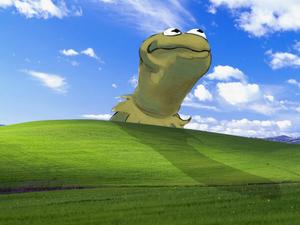 Kermit Bliss Funny Meme funny meme wallpaper