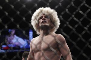 Khabib Nurmagomedov Inside Ring khabib nurmagomedov wallpaper