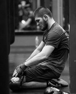 Khabib Nurmagomedov Kneeling khabib nurmagomedov wallpaper