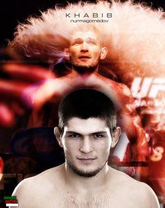 Khabib Nurmagomedov - Pride of Mixed Martial Arts khabib nurmagomedov wallpaper