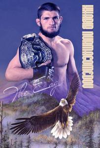 Khabib Nurmagomedov, The Eagle of Dagestan khabib nurmagomedov wallpaper