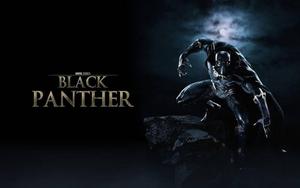 King T'Challa, the Black Panther black panther wallpaper
