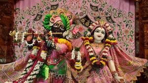 Krishna And Radha In ISKCON Temple Wearing Pink iskcon wallpaper