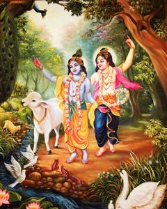Krishna Phone Radha Walking In Forest krishna phone wallpaper