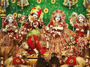 Krishna With His Three Consorts In ISKCON Temple iskcon wallpaper