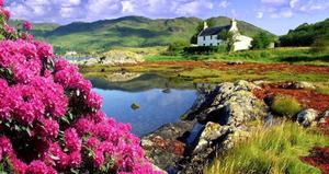 Lake Cottage With Pink Flowers Landscape Picture landscape wallpaper