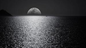 Laptop with a breathtaking nocturnal sea view and moon on display dark laptop wallpaper